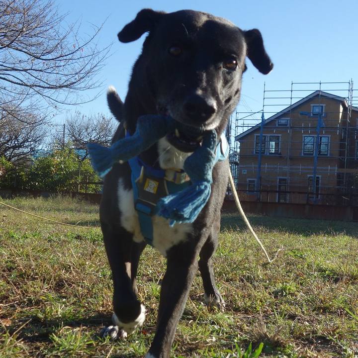 9cca3df3 b157 46bf a435 d3027482971f 1636591698868