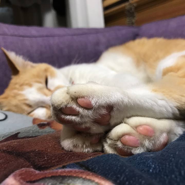 9ccac848 7846 4233 b7e2 16743a38c77a 1537528105991