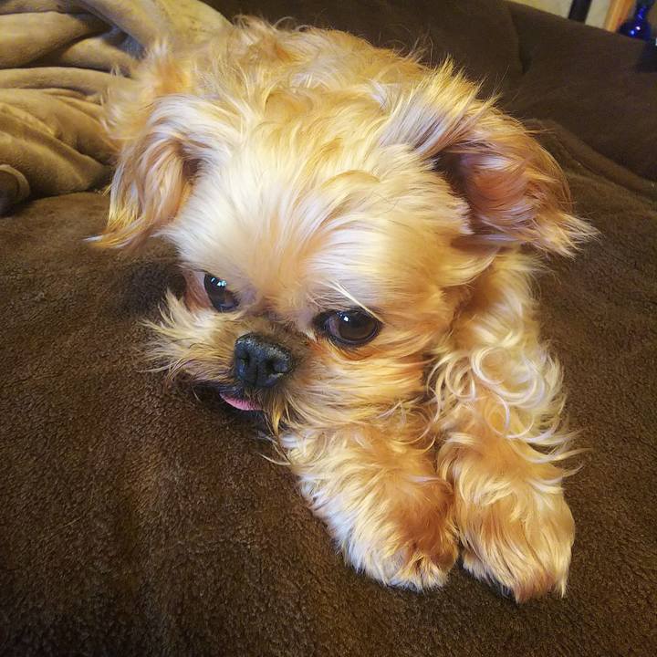 9ccacf80 25ec 4f0a 8153 ee6a1db2f471 1545438700897