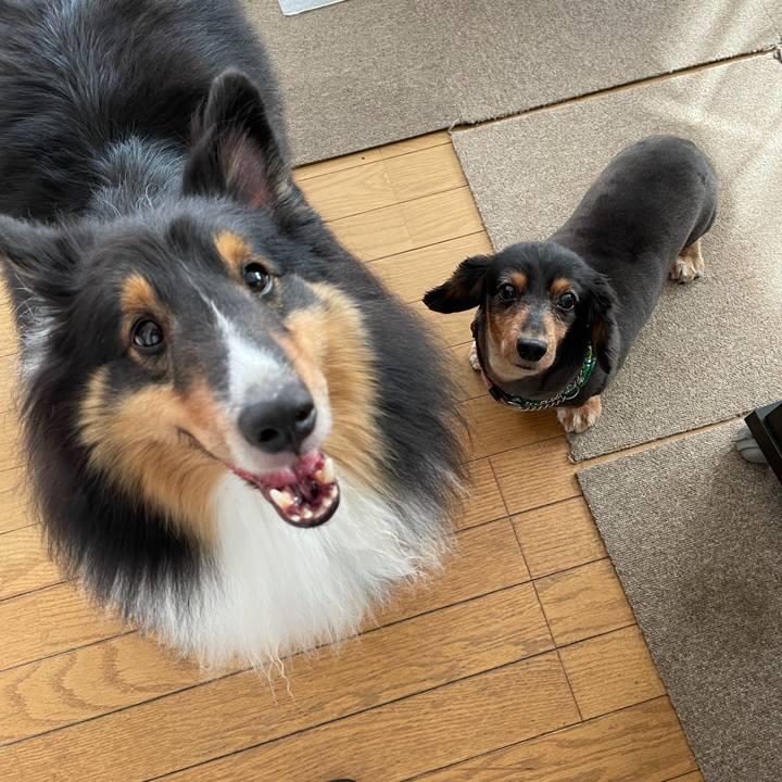 9ccacf9e 7506 436f 9082 139e16bf2831 1625004649341