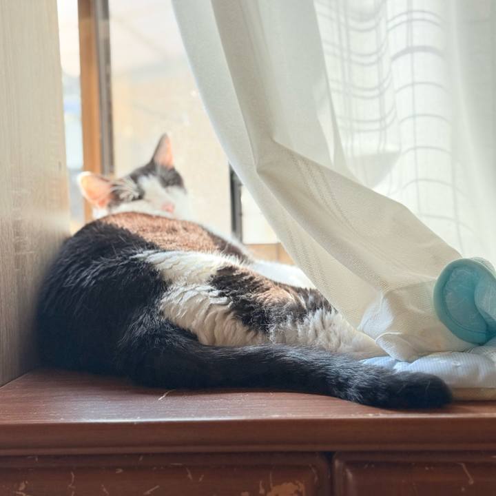 9ccb2596 0c09 4a31 ab10 4f9b5eefe88d 1756688274001