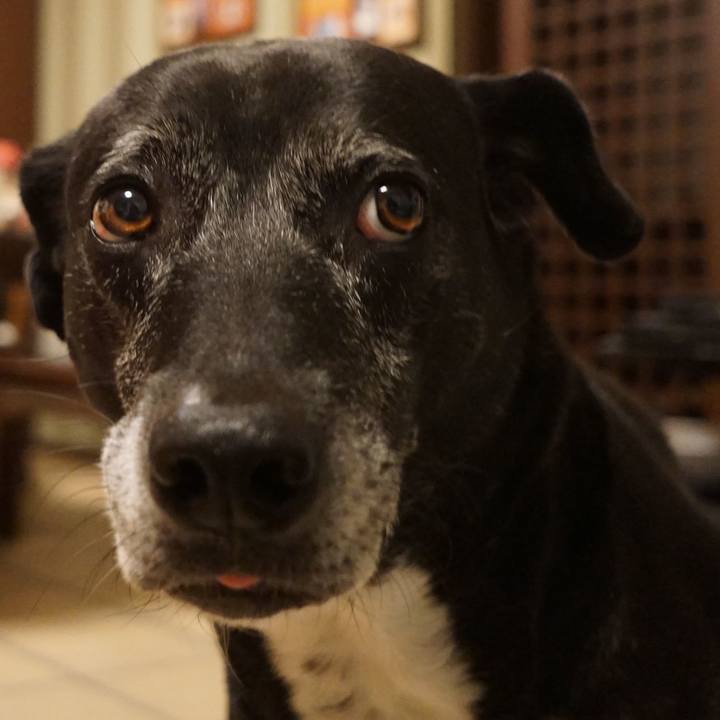 9ccb2cb5 77d4 4d31 9ef3 55f8894799a9 1763895544036