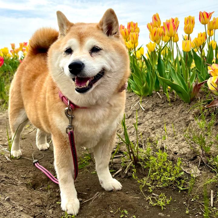 9ccb31b5 d42d 438f b859 a980f136469d 1713915536330