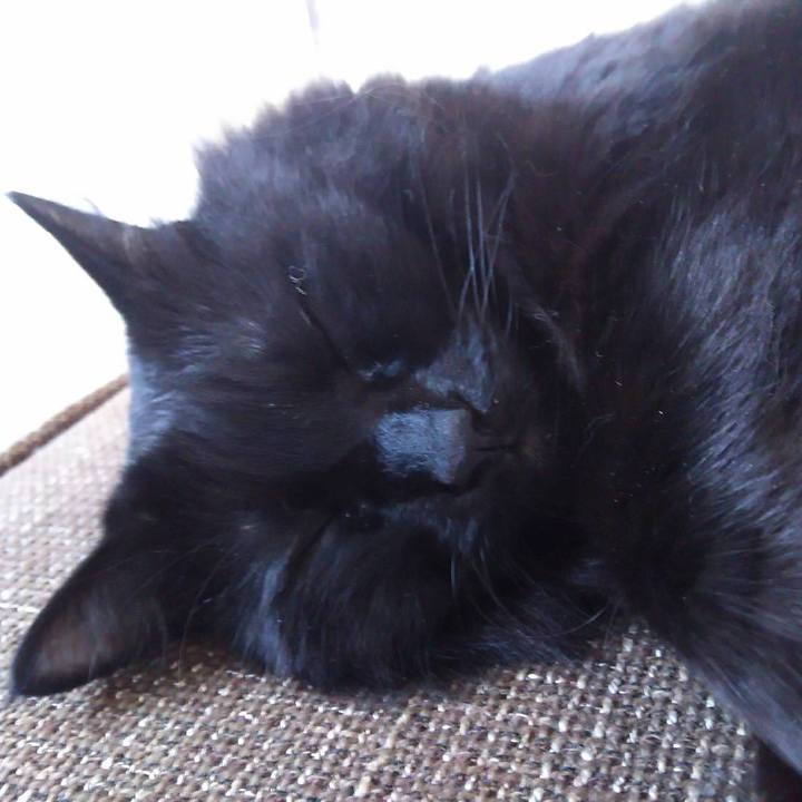 9ccb4dec e750 4b1a a1e1 810737ad3403 1514971410106