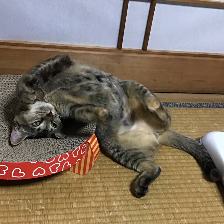 9ccb60e4 b465 4ae0 ba19 9783bd510fd8 1574586850001