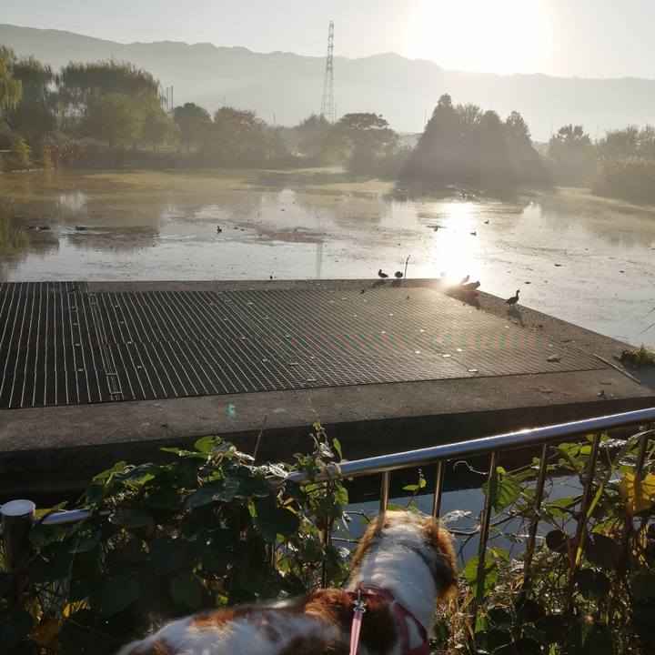 9ccb6b46 cf17 4698 996e b7156f646610 1605744537876