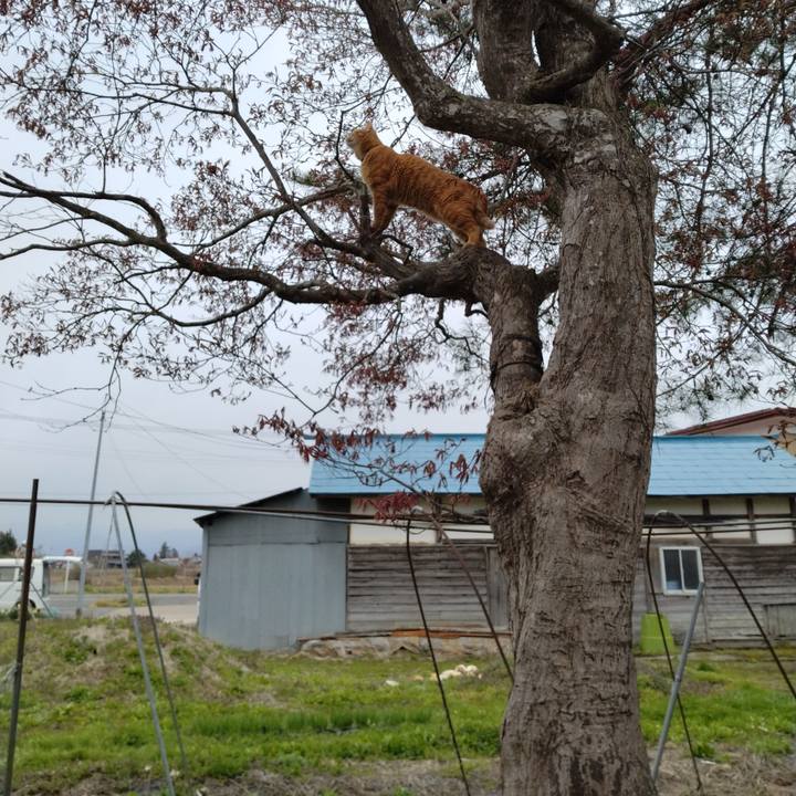 9ccb8a0c 75f5 48f0 aa05 b94d08c2d9cc 1681798457840