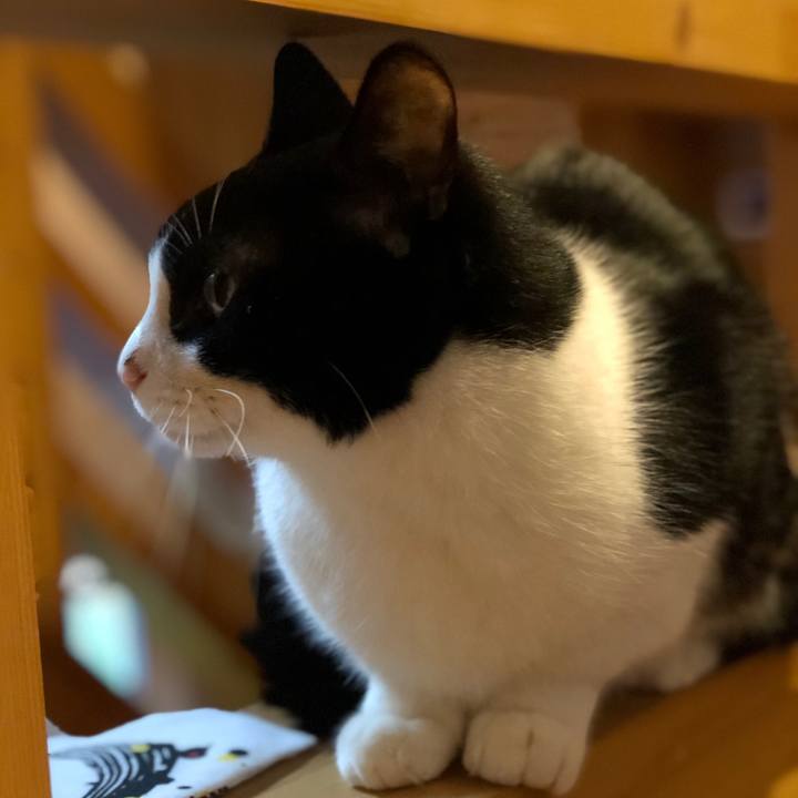 9ccb8e2e 5890 4815 b049 f33c1c25647d 1604904192076