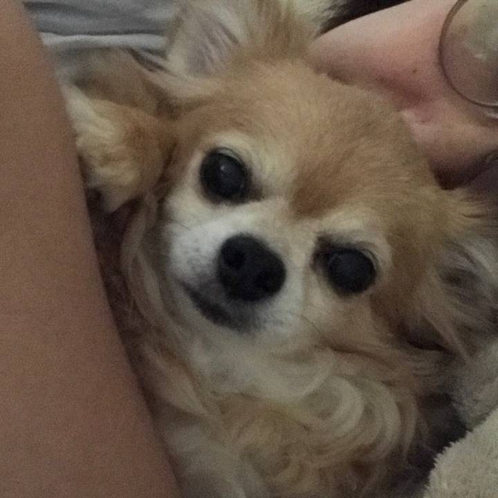 9ccb8e54 e508 43d9 86b6 deb9afea2c04 1590002049107