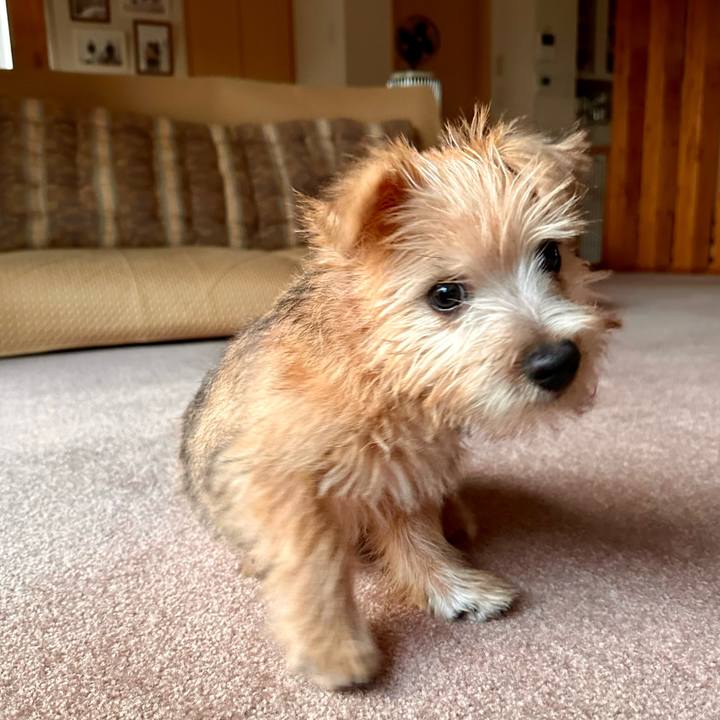 9ccbc3c0 ae79 47a8 87db b6e214e7e496 1702733257928