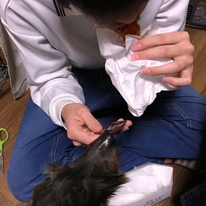 9ccbc68b 96ce 431f b6f9 5ee9070f5951 1518512564146