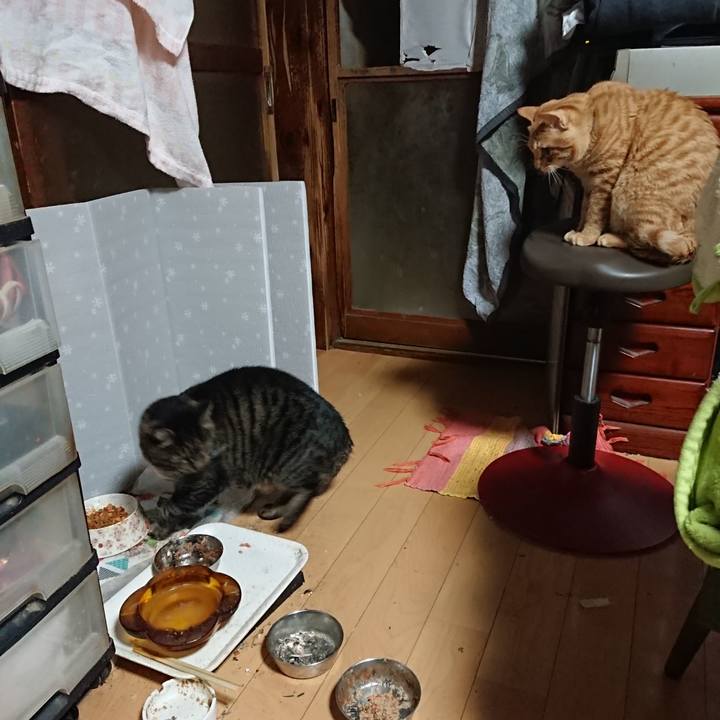 9ccc524d 4324 44aa 93d0 40d2c4c92490 1638823352829