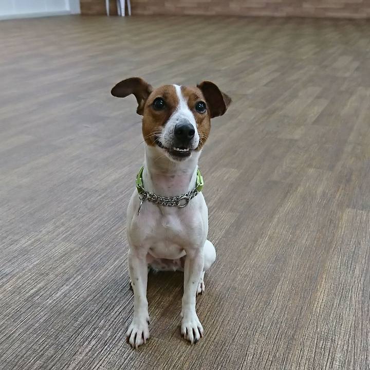 9ccc76b3 151f 45d9 832a 7bd7a8a0a4b3 1549195444728