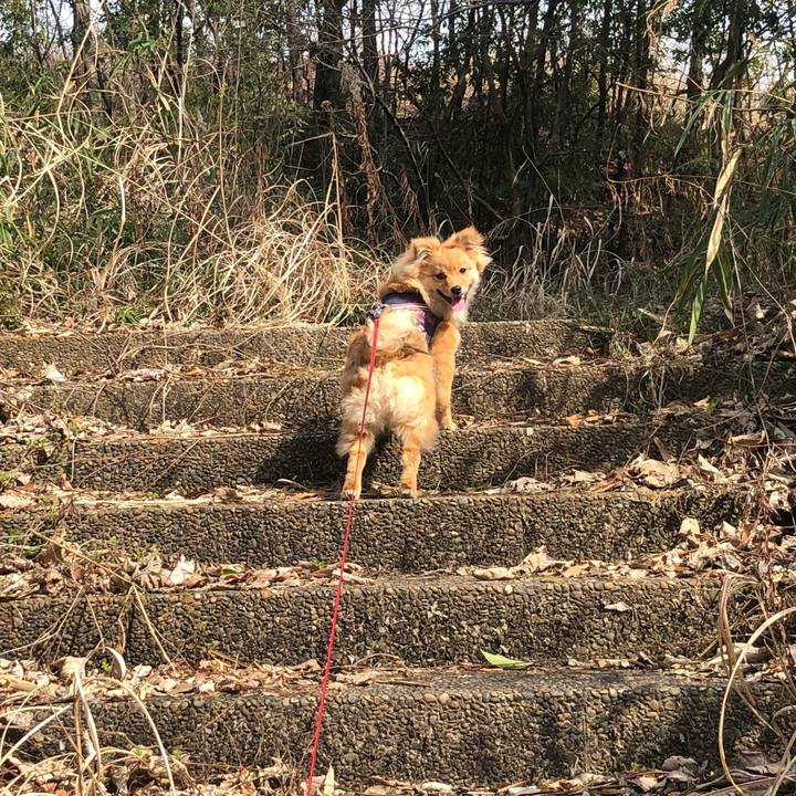 9ccc9f4f 6cb1 4f2c b732 9f9fafa24ef5 1584109893100