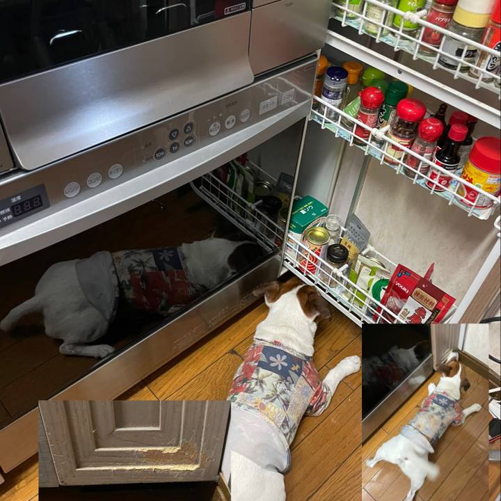 9cccd230 3011 4b1e 9487 e853dbaaa626 1625301171268