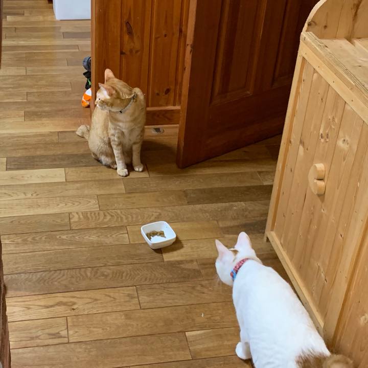 9cccf25a ede4 4dab 9127 40bcda903836 1557372415093