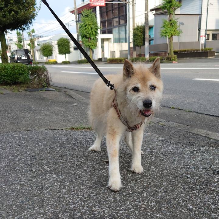 9ccd0127 31a0 4d6f be60 2fc3ec1f9a2d 1625996423962