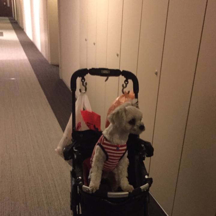 9ccd2a8a c17f 46e3 a547 295d4c1107d2 1520150122543