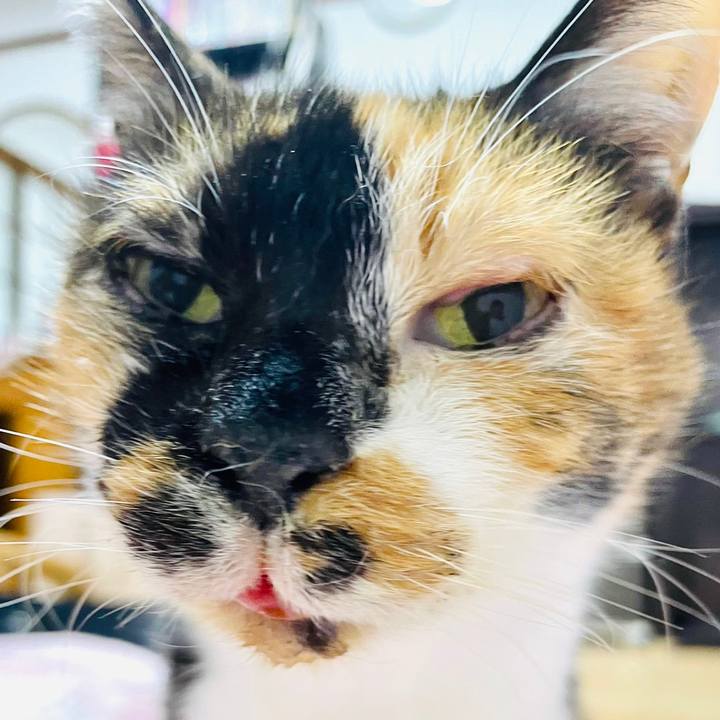 9ccd2faf 4bd4 4ac3 98ed fb44b5abe41f 1680014334566