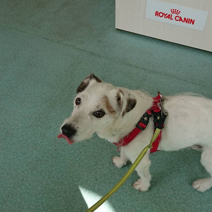 9ccd6b2e abbd 4936 b389 74be04cd85d5 1604294606505