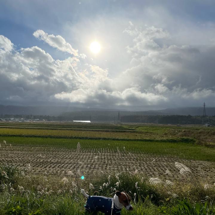 9ccda853 dc50 4815 ab8f d4656ee53398 1634972056756