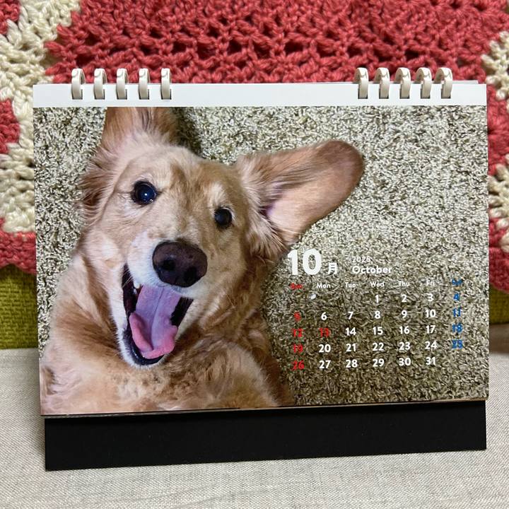 9ccdaac8 c61d 4e7d bdce 53c7c9c3642c 1759756054950