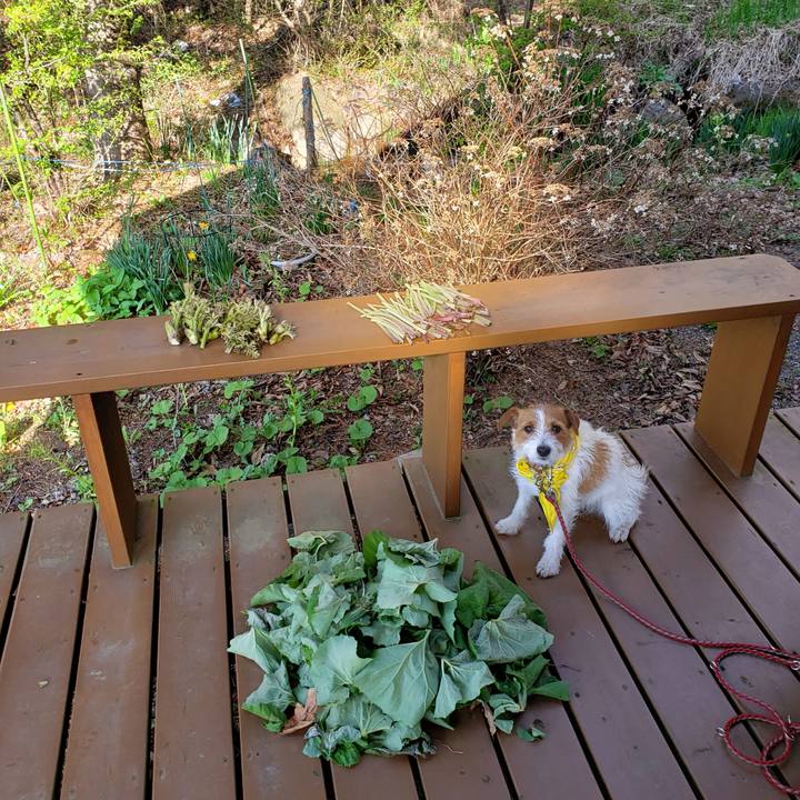 9ccdab03 e3e2 4887 9afa 360de8bc9823 1556923775330