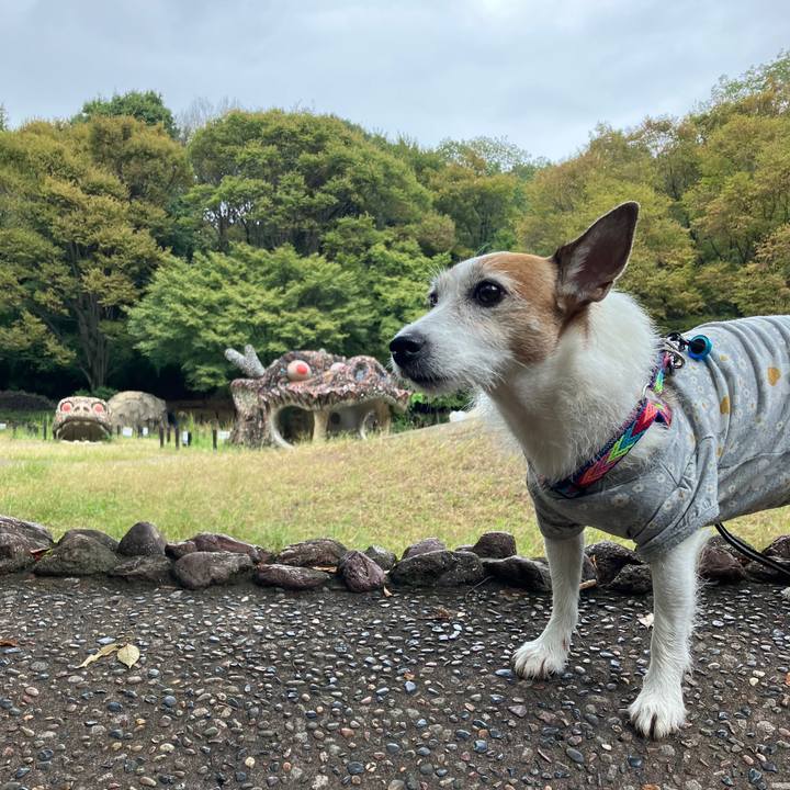 9cce0e54 2e95 46e4 b9cb 9f6d4e263964 1696119589593