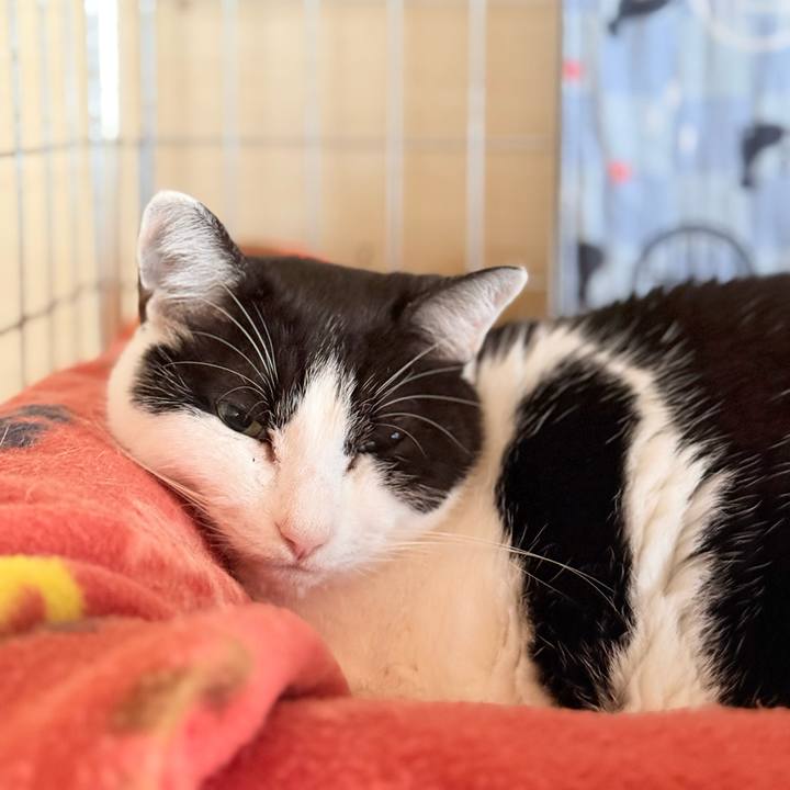 9cce2093 4b59 43fa bbc9 dbded26d98c0 1769305944710