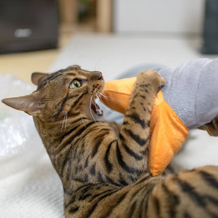 9cce3fe8 b935 4ed2 a5a8 7ed280884428 1521026214100