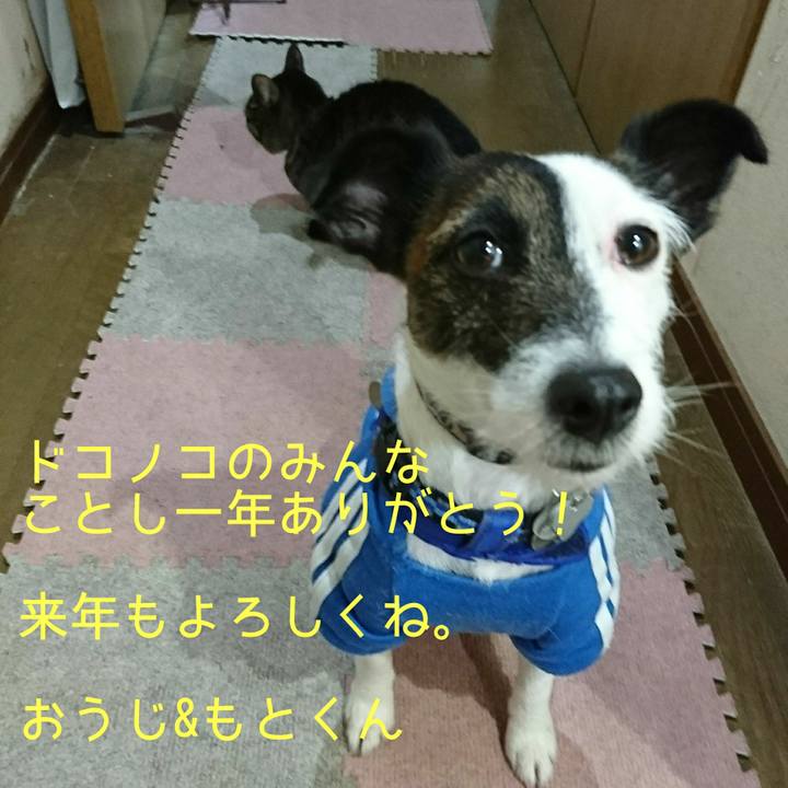 9cce7f71 3f94 43f7 9fc7 a10a04ffad85 1514711899556