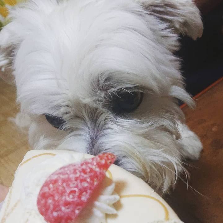 9ccea192 e5d7 40cf 8b3d fa6d1798a96e 1623849153439