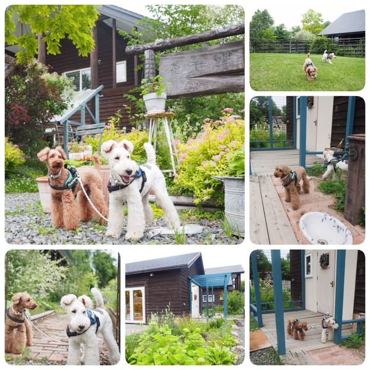 9ccea5f1 575b 4d24 9aff ce1d55bcbd96 1562422956085