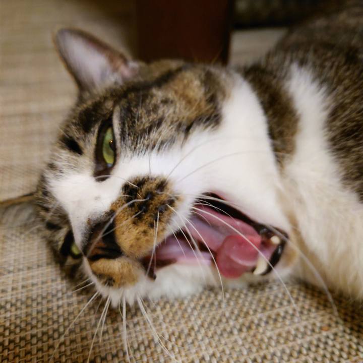 9cced3ff 448e 45f0 85b2 f7f02d057519 1772417883912