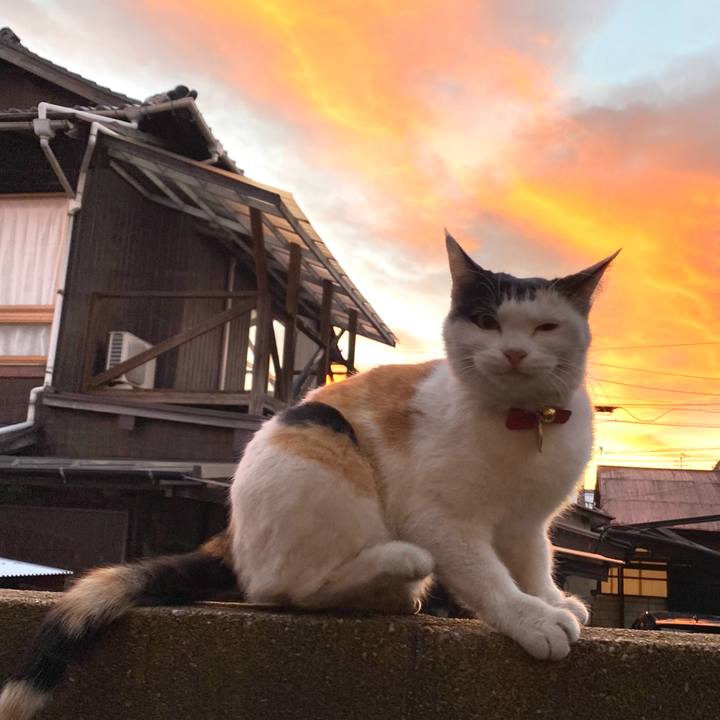 9ccef002 5e06 41b2 bb86 1c132c1ae316 1638223568083