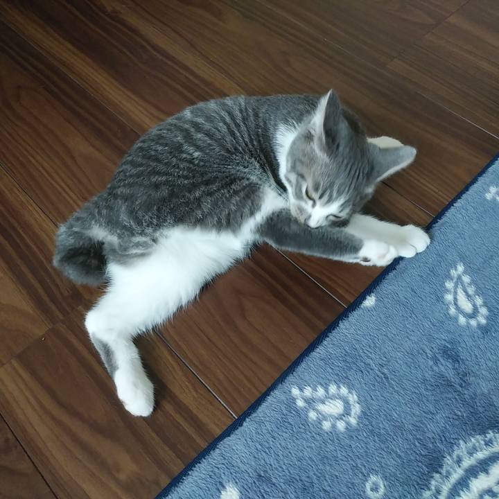 9ccf2170 b51c 4ff0 abe5 5542e06f6dff 1567553935111