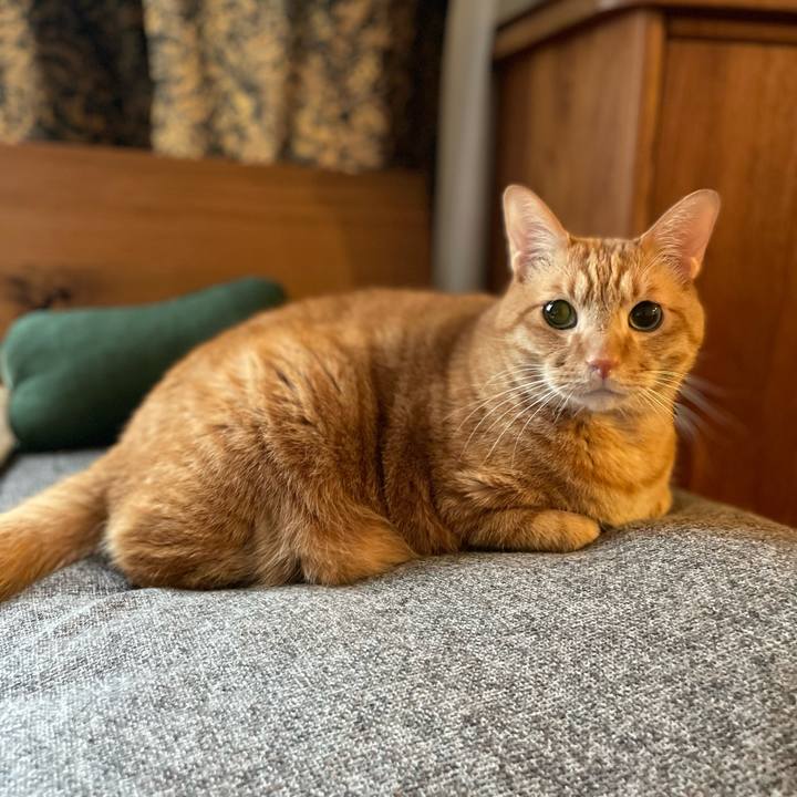 9ccf3109 0c44 44a2 b44e 42e6ec1e1333 1703390501419