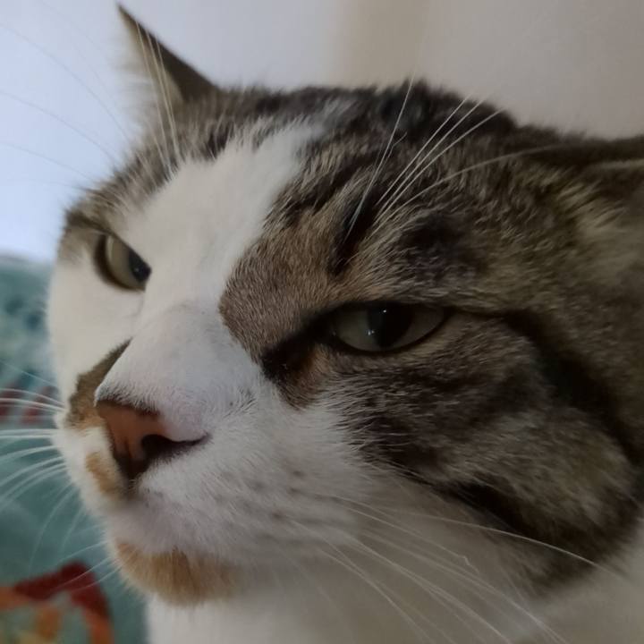 9ccf5bbe fba3 45b6 a6e9 92bda8377dd7 1687150773228