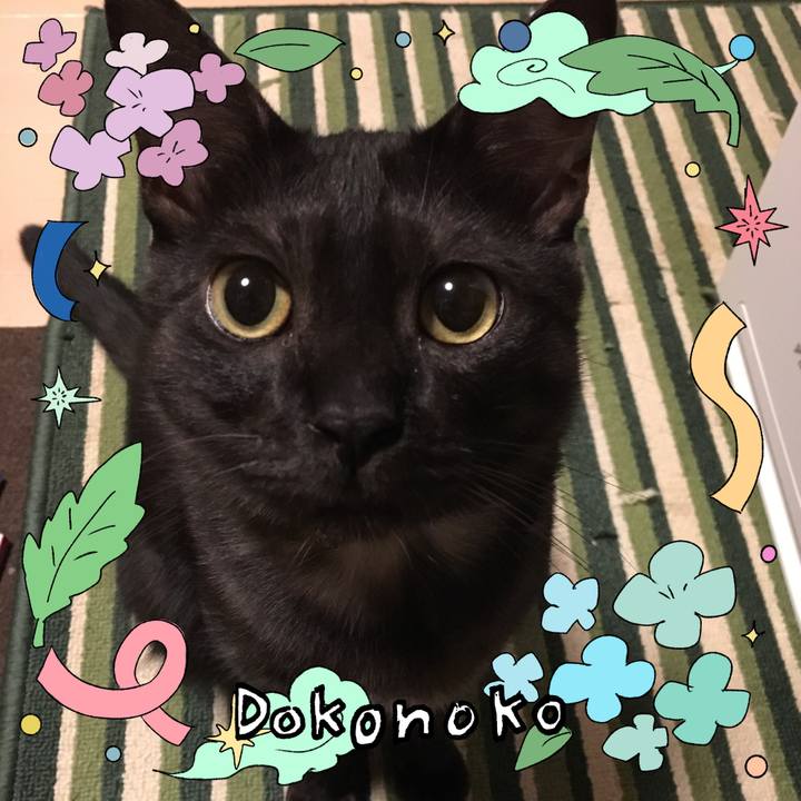 9ccf7ca2 0d2c 443f 9659 b3a6330ab69c 1717853535559