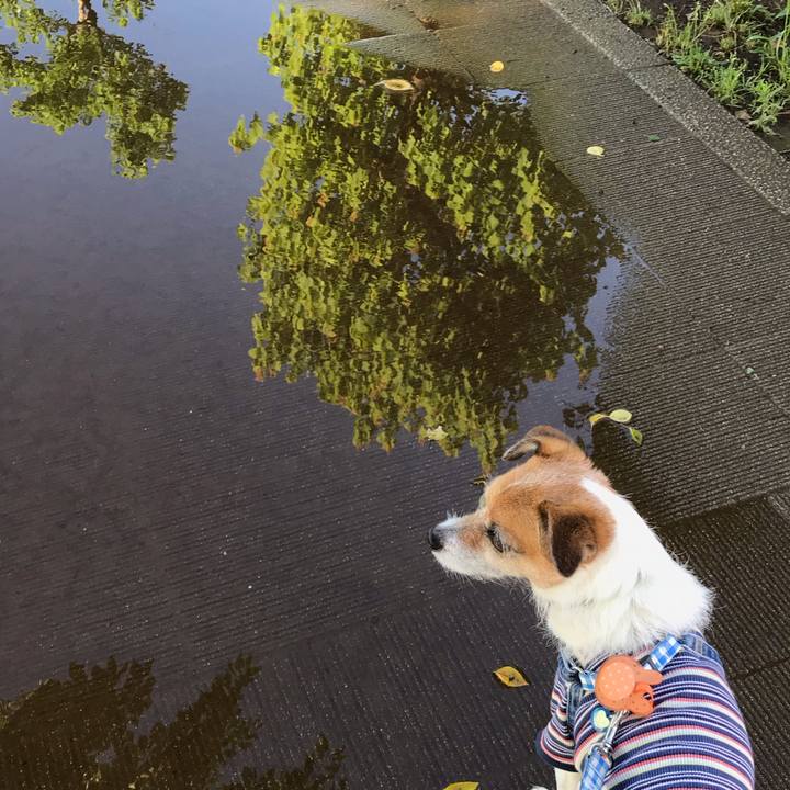 9ccf94a9 55d3 4c08 b818 7f745146e776 1560637803908