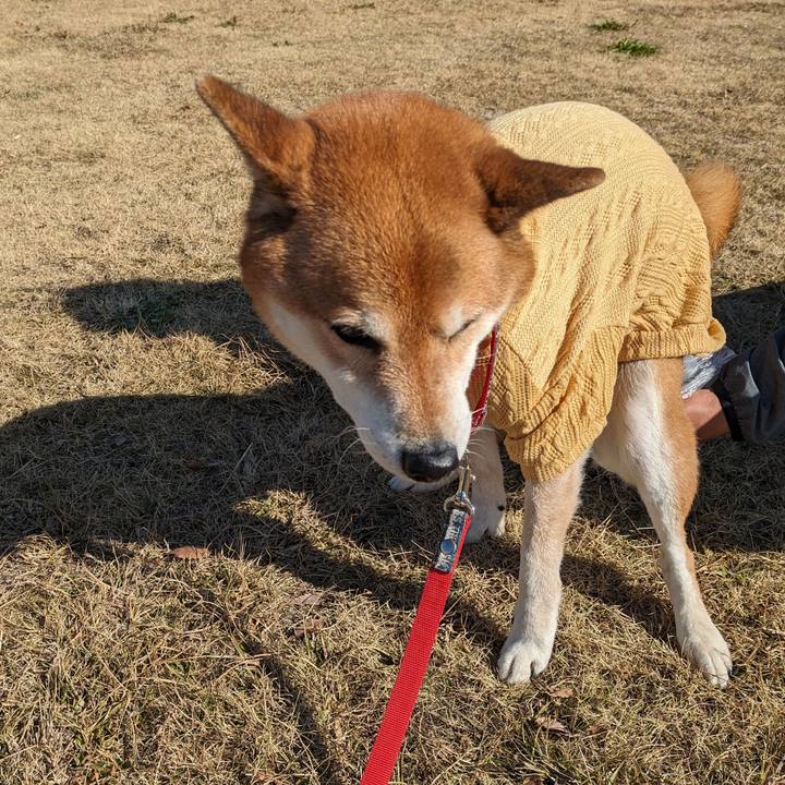 9ccfa240 e63b 4ba5 aa10 1cd3ac2bb32c 1704641404028