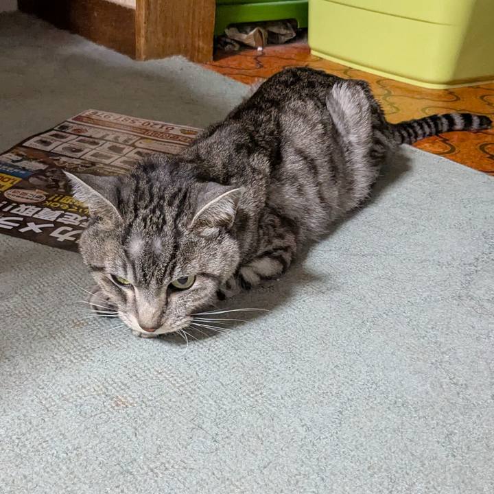 9cd00970 c2c0 434b 9020 d0abf6546b9b 1744450933880