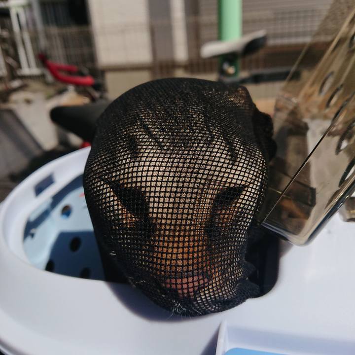 9cd01f1b 5ad2 427f 8b09 7ffb945d3af8 1521261565721