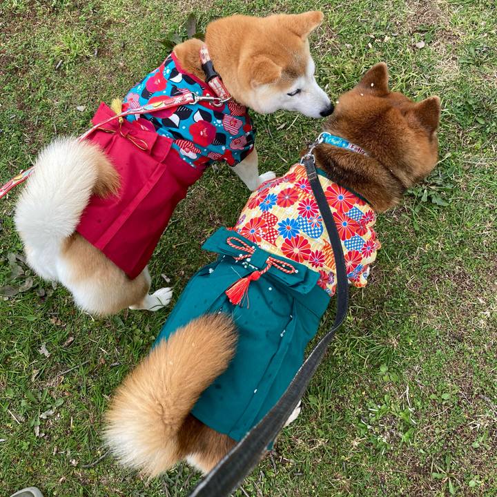 9cd01f8b 1c3a 4728 a164 8bc023991e0a 1712125157271