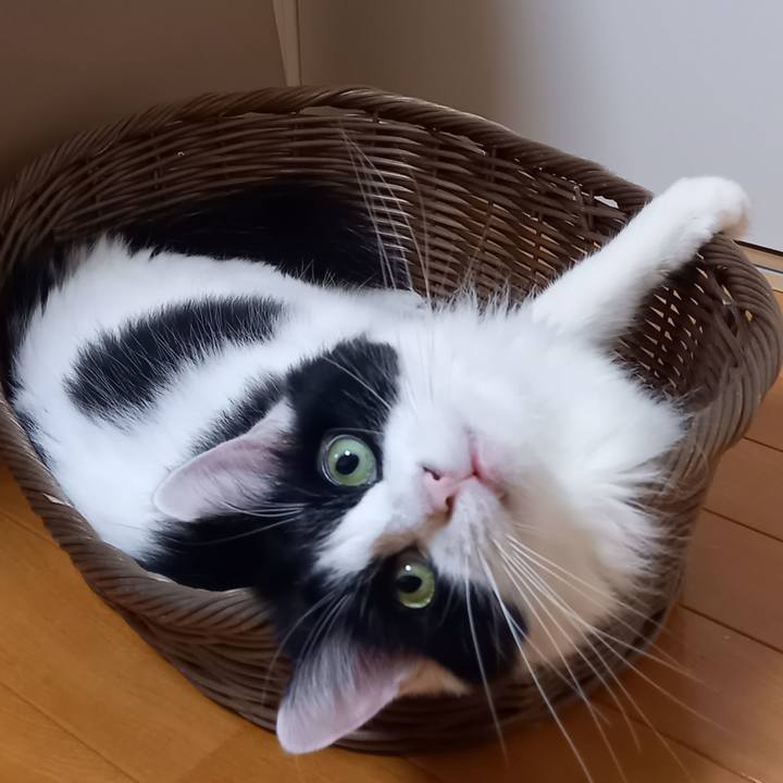 9cd04d27 a27c 4b7e 9cd7 c6cfc71f98d4 1661900862173