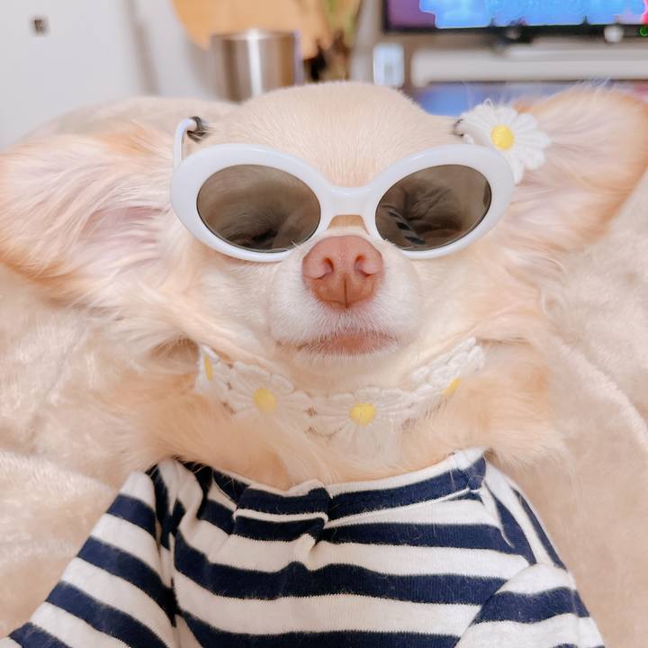 9cd07121 8dd6 4b74 a6a1 5f019aef0c78 1660045152300