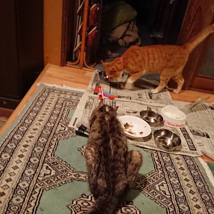 9cd08768 1f21 4a9a b9b2 9277cb6b9e9a 1598954075816