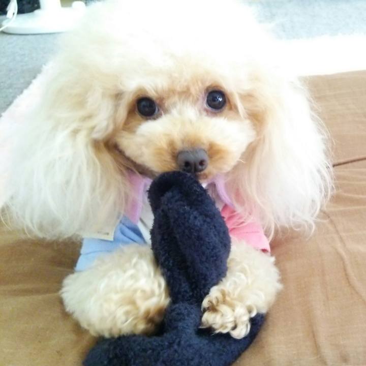 9cd0885d 2647 4d97 872d f67924c5f6da 1539424603666