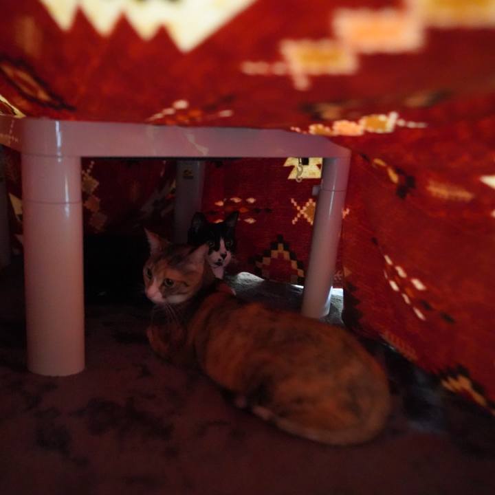 9cd0e9a7 3117 400e 991d 5e1aa08b9b4f 1609255271781