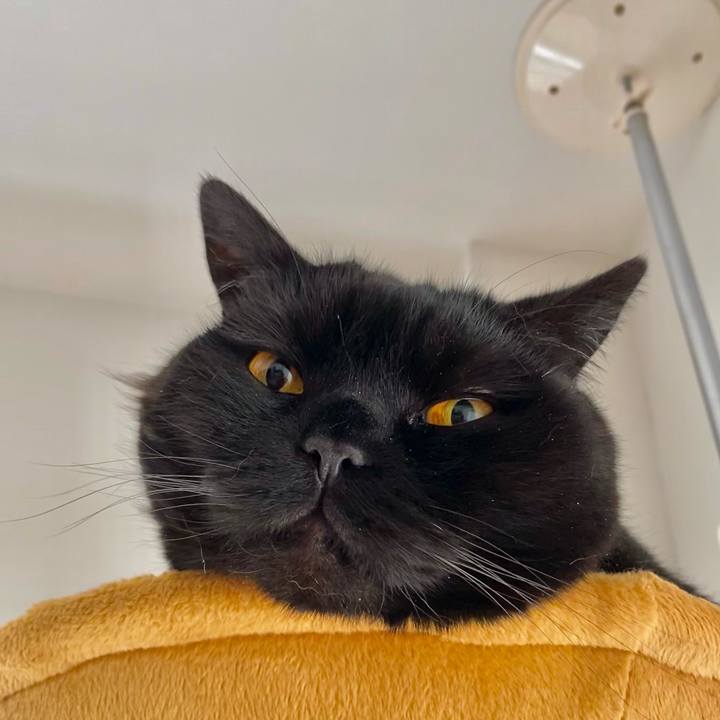 9cd0fa63 2e7f 4216 8d57 61386b768805 1619507081008